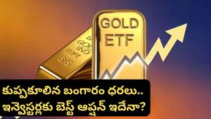 Gold ETF: ఒక్కరోజే 14% పతనం.. గోల్డ్, సిల్వర్ ఇన్వెస్టర్లకు షాక్! ఇప్పుడు కొనాలా? అమ్మాలా?