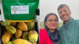 ఐటీ ఉద్యోగాలకు గుడ్‌బై చెప్పి నాగలి పట్టారు.. సేంద్రీయ విప్లవంతో వ్యవసాయాన్ని పరుగులు పెట్టిస్తున్నారు..