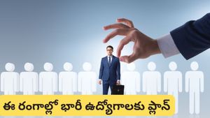 Budget 2026: నిరుద్యోగులకు గుడ్ న్యూస్! ఆ రంగాల్లో 20 లక్షల ఉద్యోగాలు వచ్చేలా ప్లాన్!