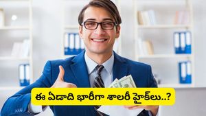 Salary hike: ఉద్యోగులకు పండగే! 2026లో భారీగా పెరగనున్న జీతాలు.. ఏ రంగంలో ఎంతంటే?