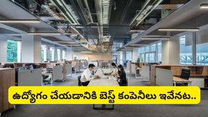 Best companies: భారతదేశంలో బెస్ట్ అండ్ వరస్ట్ కంపెనీలు ఇవే! నంబర్ 1 స్థానంలో ఏ కంపెనీ ఉందంటే..