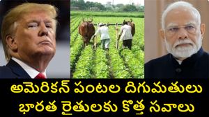 ట్రంప్ అనుకున్నదే జరుగుతోందా.. భారత్–అమెరికా ట్రేడ్ డీల్.. భారత వ్యవసాయ రంగానికి ముప్పు..? 