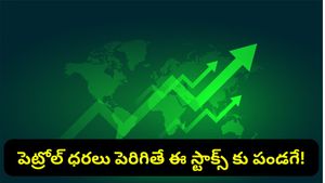 Stock market: మార్కెట్ షాక్ ఇచ్చినా భయం వద్దు.. ఇన్వెస్టర్లకు ఇవే సేఫ్ ఆప్షన్లు!