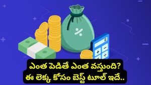 Lumpsum calculator: లంప్‌సమ్ ఇన్వెస్ట్‌మెంట్ చేస్తున్నారా? ఈ కాలిక్యులేటర్ వాడితే లాభాలు పక్కా!
