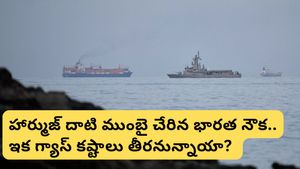 భారత నౌకలకు ఇరాన్ గ్రీన్ సిగ్నల్.. జైశంకర్ దౌత్యం ఫలించిందా?