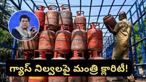 LPG: గ్యాస్ అయిపోతుందని భయపడుతున్నారా? నిల్వలపై క్లారిటీ ఇచ్చిన మంత్రి పీయూష్ గోయల్!