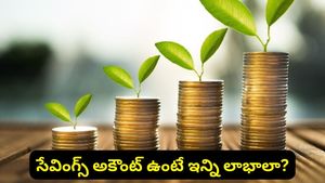 Savings account: సేవింగ్స్ అకౌంట్ ఉంటే ఇన్ని లాభాలా? ఎవ్వరికీ తెలియని ఆసక్తికర విషయాలివే!