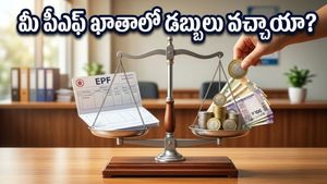 మీ పీఎఫ్ ఖాతాలో 8.25% వడ్డీ జమ కానుందా? ఈరోజు రాబోయే ఆ కీలక అప్‌డేట్ ఇదే!
