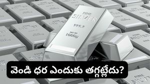Silver: వెండి ధర కిలో రూ.2 లక్షల కంటే కిందకు పడిపోదా? నిపుణులు ఏమంటున్నారు?