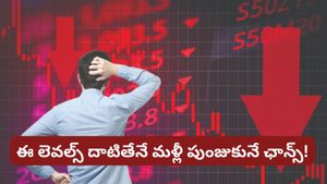 Stock market: స్టాక్ మార్కెట్ అప్‌డేట్! భారీ ఒడిదుడుకుల్లో నిఫ్టీ.. ఇన్వెస్టర్లు ఏం చేయాలి?