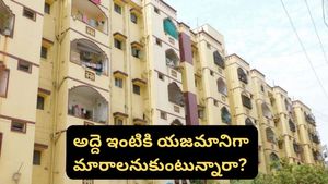 Bengaluru: మీరు ఉంటున్న అద్దె ఇల్లు కొనాలనుకుంటున్నారా? ఈ విషయాలు తెలుసుకోండి!