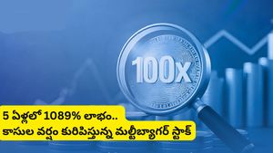Multibagger Stock: 5 ఏళ్లలో 1089% లాభం.. కాసుల వర్షం కురిపిస్తున్న మల్టీబ్యాగర్ స్టాక్!