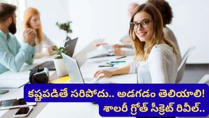 Bengaluru: జీతం పెరగడం లేదా? ఈ యువతి ఫార్ములా ఫాలో అయితే జాక్‌పాట్ కొట్టినట్టే!