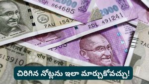 Note exchange: జేబులో చిరిగిన నోటు ఉందా? ఈ ట్రిక్ పాటిస్తే మీ చిరిగిన నోటుకు కొత్త నోటు!