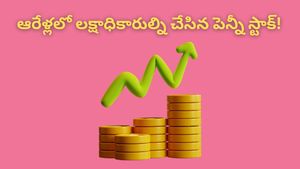 Multibagger stock: పెన్నీ స్టాక్స్‌లో పెట్టుబడి పెడుతున్నారా? ఈ కంపెనీ సక్సెస్ స్టోరీ చూస్తే మైండ్ బ్లాక్ అవ్వ