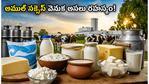 హిందుస్థాన్ యూనీలీవర్‌కే షాక్! లక్ష కోట్ల టర్నోవర్ దిశగా అముల్ దూకుడు వెనుక ఉన్న అసలు వ్యూహం ఇదే