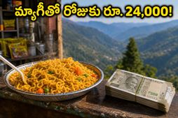 కొండల్లో మ్యాగీ అమ్ముతూ రోజుకు రూ. 24,000 సంపాదన! ఈ బిజినెస్ వెనుక ఉన్న షాకింగ్ నిజాలు ఇవే