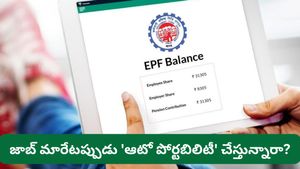Job change: జాబ్ మారేటప్పుడు ఈ ఒక్క పని చేయకపోతే లక్షల్లో నష్టపోతారని తెలుసా?