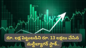 Stock market: రూ. 23 నుంచి రూ. 313 కి పెరిగిన షేరు.. ఇప్పుడు 1 కొంటే 8 షేర్లు ఫ్రీ!