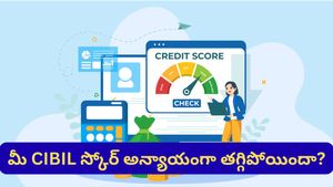 తీసుకోని అప్పుకు నోటీసులు.. పడిపోయిన క్రెడిట్ స్కోర్! మీ CIBIL రిపోర్ట్‌లో ఈ తప్పులు ఉన్నాయా?