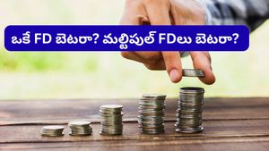 రూ. 5 లక్షలు ఒకే FD లో వేస్తున్నారా? లేక 5 ముక్కలు చేస్తున్నారా? ఈ చిన్న ట్రిక్ తెలిస్తే లాభాలే లాభాలు!