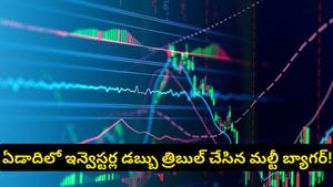 Stock Market: ఏడాదిలోనే మూడు రెట్లు లాభం.. ఇన్వెస్టర్ల కాసుల వర్షం కురిపించిన మల్టీ బ్యాగర్!