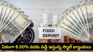 పెద్ద బ్యాంకులకు షాక్ ఇస్తున్న స్మాల్ ఫైనాన్స్ బ్యాంకులు.. ఎఫ్‌డీలపై అదిరిపోయే రిటర్న్స్!
