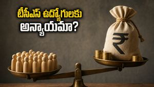 టీసీఎస్ బాస్ జీతాలు భారీగా పెరిగాయి.. మరి సామాన్య ఉద్యోగుల పరిస్థితి ఏంటి? అసంతృప్తి ఎందుకు?