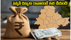 తెలంగాణ పెన్షన్లు: మీ ఖాతాలో డబ్బులు పడాలంటే ఈ పత్రాలు వెంటనే సిద్ధం చేసుకోండి, లేదంటే కష్టమే!