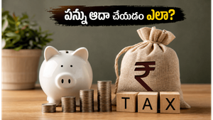 2026 బడ్జెట్: మీ పన్ను భారాన్ని తగ్గించుకుని, చేతికి వచ్చే జీతం పెంచుకోండిలా!