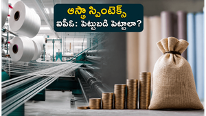ఆస్థా స్పింటెక్స్ ఐపీఓ: ఒక చిన్న మగ్గం నుంచి కోట్లాది రూపాయల సామ్రాజ్యం వరకు.. ఇన్వెస్టర్లు ఏం చేయాలి?