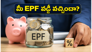 మీ EPF ఖాతాలో 8.25% వడ్డీ జమ అయ్యిందా? ఆలస్యమైతే వెంటనే ఈ పని చేయండి, లేదంటే నష్టపోతారు!