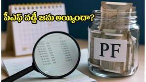 పీఎఫ్ ఖాతాలో 8.25% వడ్డీ జమ: మీ బ్యాలెన్స్ స్టేటస్ ఇలా చెక్ చేసుకోండి, ఆలస్యం చేయకండి!
