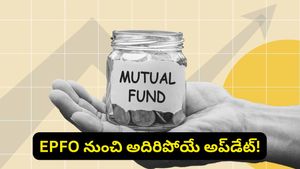 మార్కెట్లో ఒడిదొడుకులు.. మల్టీక్యాప్ వర్సెస్ ఫ్లెక్సీక్యాప్ మ్యూచువల్ ఫండ్స్‌లో ఏది బెస్ట్?