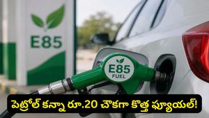 E85: వాహనదారులకు పండగే.. పెట్రోల్ కన్నా రూ.20 చౌకగా కొత్త ఫ్యూయల్! అసలు ట్విస్ట్ ఏంటంటే..