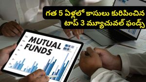 పెద్ద పెద్ద ఫండ్ మేనేజర్లు నమ్ముకున్న ఆ 3 ఫండ్స్ ఇవే.. తక్కువ ధరకే కొనేందుకు సూపర్ ఛాన్స్!