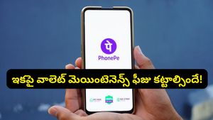 ఫోన్‌పే కొత్త రూల్.. ఆ తప్పు చేస్తే మీ వాలెట్ నుండి డబ్బులు మాయం!