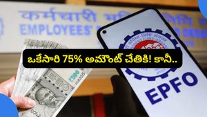 EPFO 3.0: పీఎఫ్ కొత్త రూల్స్! ఒకేసారి 75% అమౌంట్ చేతికి.. కానీ ఒక్క కండిషన్..