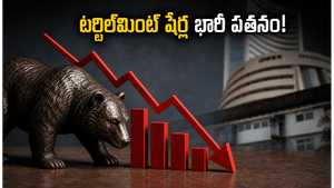 టర్టిల్‌మింట్ లిస్టింగ్: ఇన్వెస్టర్లకు నిరాశ.. 11 శాతం డిస్కౌంట్‌తో షేరు పతనం!