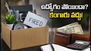 ఉద్యోగం కోల్పోయారా? కంగారు వద్దు, ఈ ఆర్థిక ప్రణాళికతో మళ్ళీ నిలదొక్కుకోండి!
