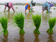 ಕರ್ನಾಟಕ ಸರ್ಕಾರದ ರೈತರ ಕಲ್ಯಾಣ ಯೋಜನೆಗಳ ಸಂಪೂರ್ಣ ಮಾಹಿತಿ ಇಲ್ಲಿದೆ..