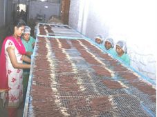  2 ಲಕ್ಷದಲ್ಲಿ ಈ ಬಿಸಿನೆಸ್ ಆರಂಭಿಸಿ, ಪ್ರತಿ ತಿಂಗಳು 25 ಸಾವಿರ ಗಳಿಸಿ..