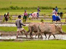 ಪಿಎಂ ಕಿಸಾನ್ ಪಿಂಚಣಿ ಯೋಜನೆ ನೋಂದಣಿ ಆರಂಭ, ಅರ್ಜಿ ಸಲ್ಲಿಸುವುದು ಹೇಗೆ?