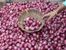 100 ರುಪಾಯಿ ಗಡಿ ದಾಟಿದ್ದ ಈರುಳ್ಳಿ ಬೆಲೆ ಈಗ 10 ರುಪಾಯಿ