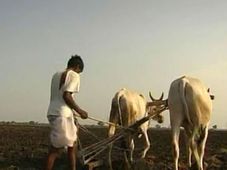 ಕೃಷಿ ಸಾಲದ ಚಕ್ರಬಡ್ಡಿ ಮನ್ನಾ ಇಲ್ಲ: ಹಣಕಾಸು ಸಚಿವಾಲಯ