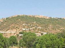 ಗೋವರ್ಧನಗಿರಿ ಕಲ್ಲುಗಳು ಆನ್ ಲೈನ್ ನಲ್ಲಿ ಮಾರಾಟಕ್ಕೆ; ಮೂವರ ವಿರುದ್ಧ FIR