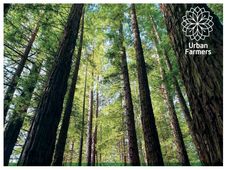 ನಗರದಲ್ಲಿದ್ದುಕೊಂಡೇ ಕೃಷಿ ಮಾಡಬಯಸುವವರಿಗೆ ಇಲ್ಲಿದೆ ಸದಾವಕಾಶ: ಅರ್ಬನ್ ಫಾರ್ಮರ್ಸ್‌ ಕಂಪನಿ