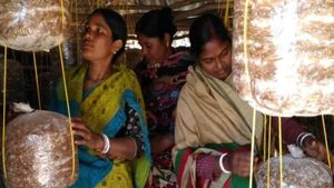 ಸರ್ಕಾರದ ವಿವಿಧ ಯೋಜನೆಯಡಿ ಸಾಲ ಸೌಲಭ್ಯಕ್ಕೆ ಅರ್ಜಿ ಆಹ್ವಾನ