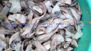 ಫೆ.01ರ ಪೇಟೆ ಧಾರಣೆ: ಮೀನು, ತರಕಾರಿ, ರಬ್ಬರ್  ಹಾಗೂ ರಸಗೊಬ್ಬರ ಮಾರುಕಟ್ಟೆ ಬೆಲೆ