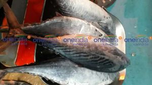 ಫೆ.07ರ ಪೇಟೆ ಧಾರಣೆ: ಮೀನು, ತರಕಾರಿ, ರಬ್ಬರ್  ಹಾಗೂ ರಸಗೊಬ್ಬರ ಮಾರುಕಟ್ಟೆ ಬೆಲೆ